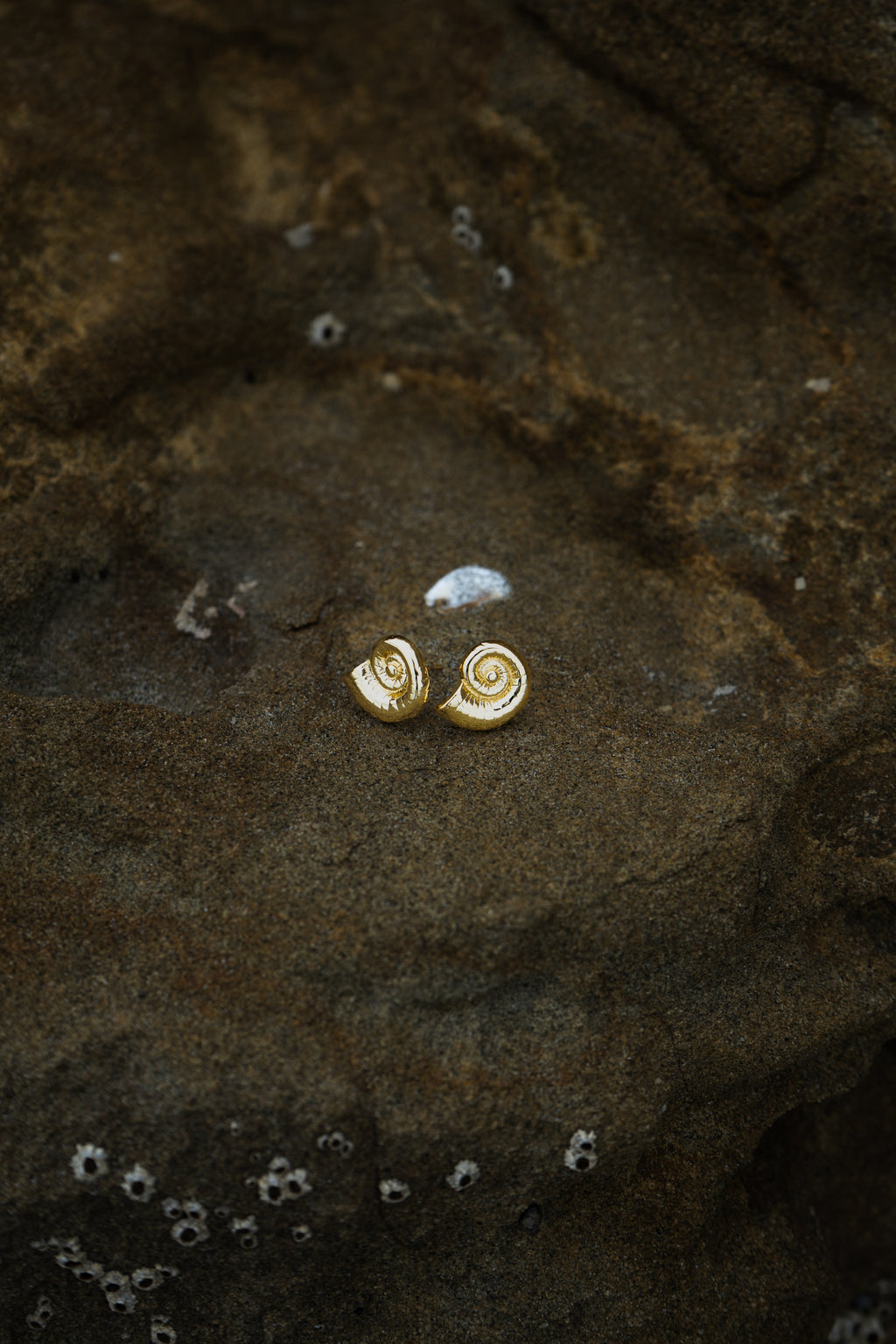 Aretes Capri